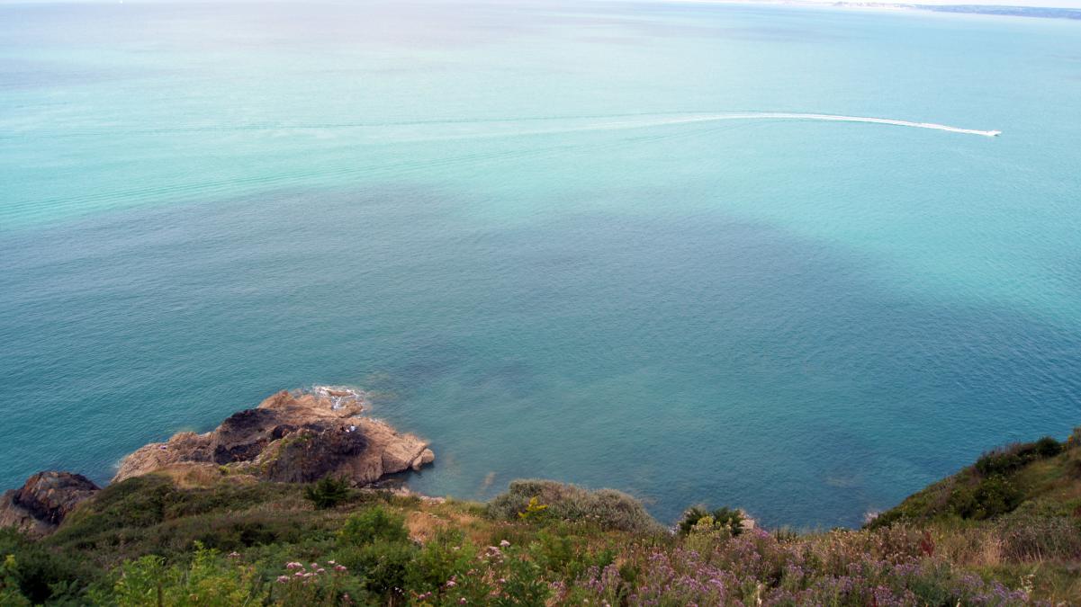 Pointe du Roselier