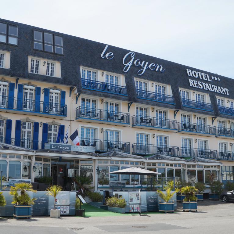 Le Goyen