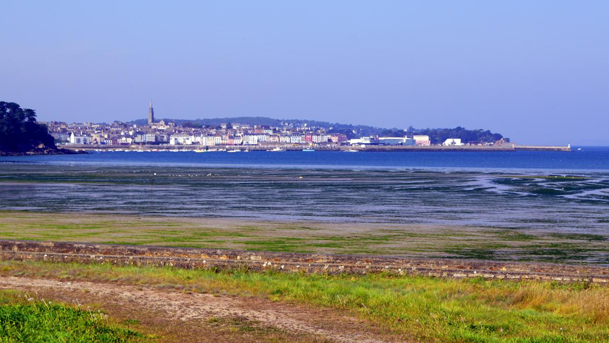 Vue