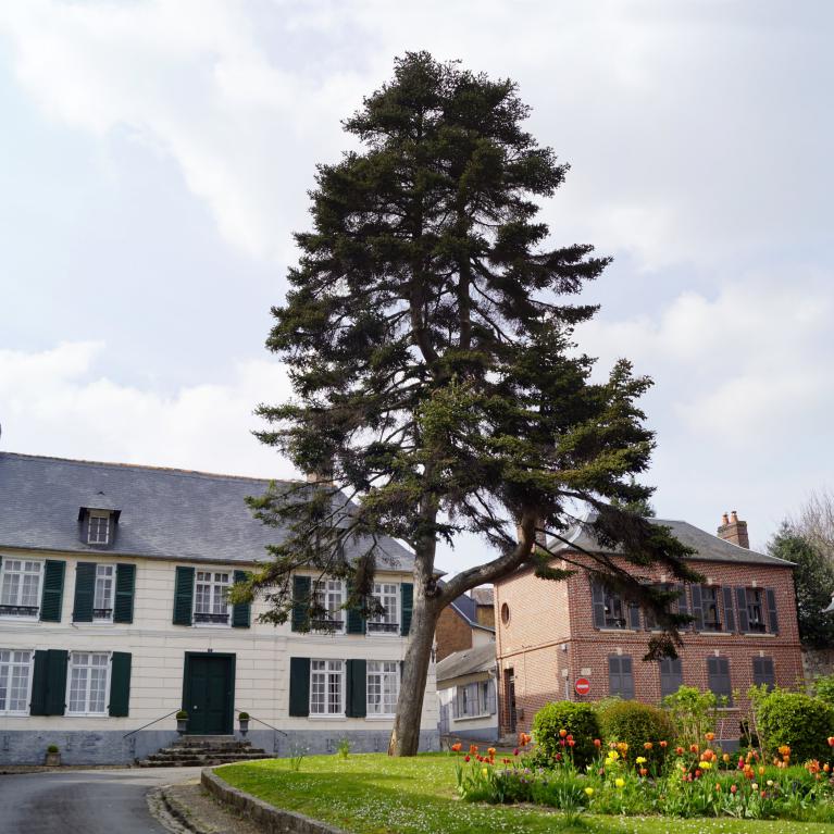 Maison des Peintres
