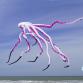 Cerf volants