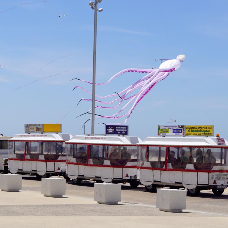 Train touristique