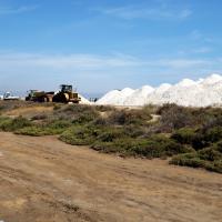 Les Salines