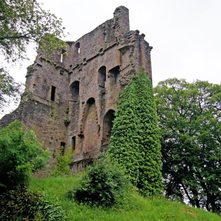 Ruines du donjon