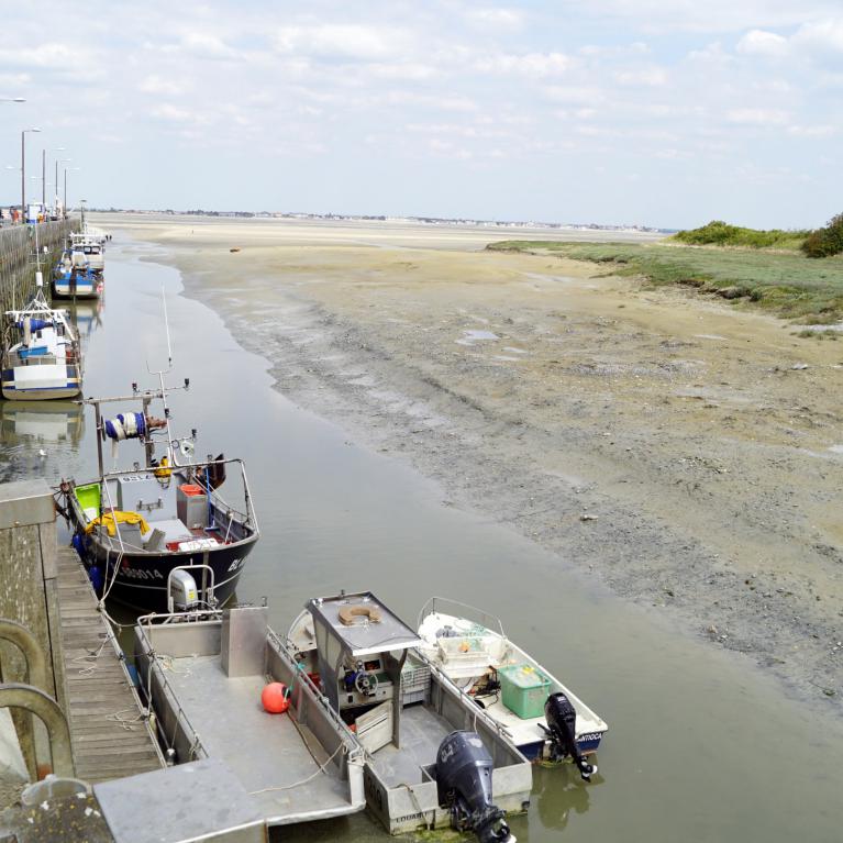 Port des pêcheurs