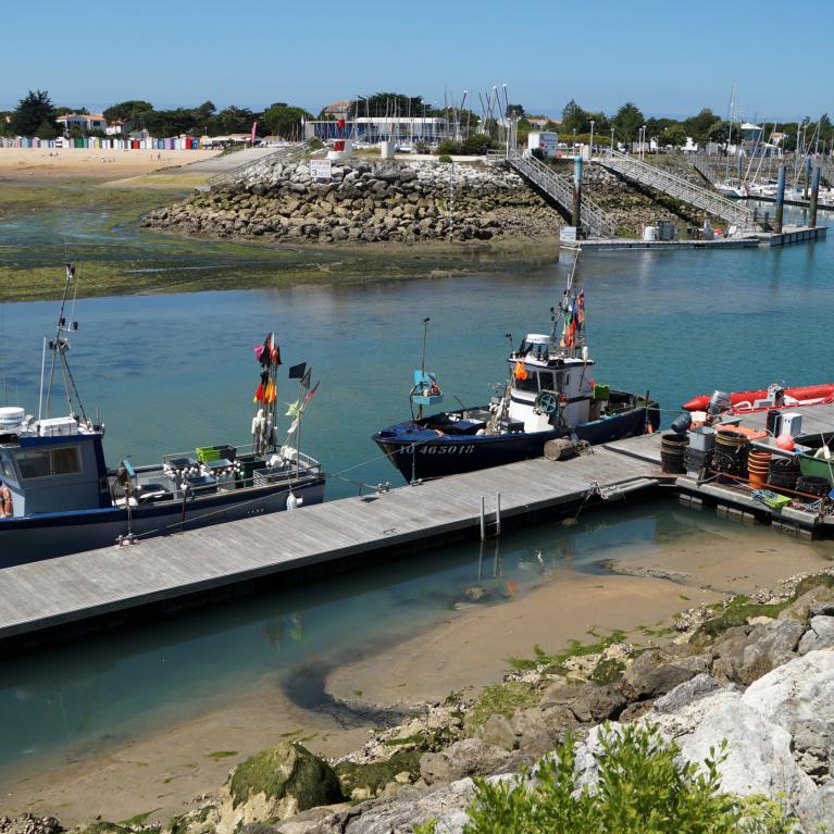 Port de pêche