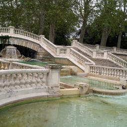 Bassin au jardin Darcy
