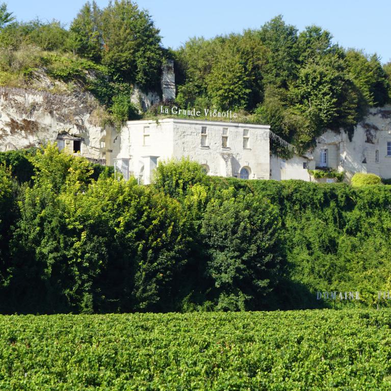 La Grande Vignolle