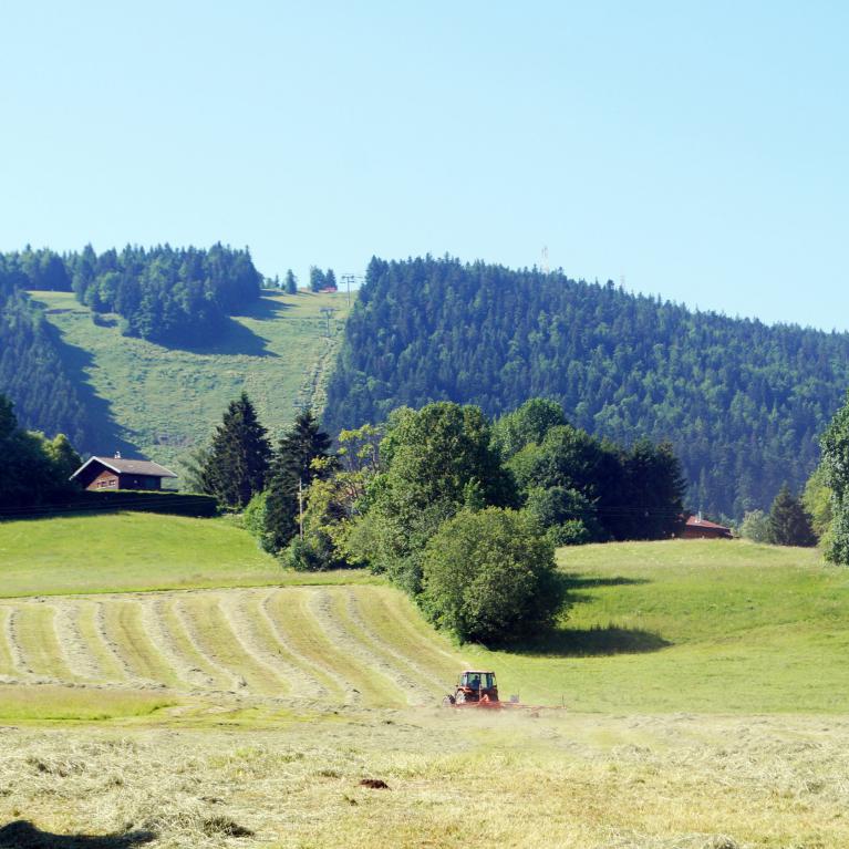 Piste...l'été