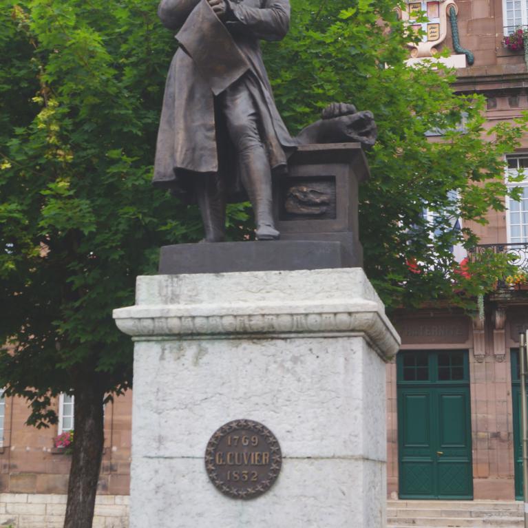 Statue G. Cuvier