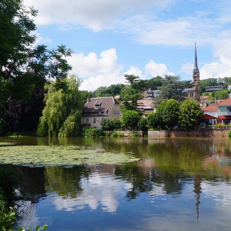 Rive de l'Allan