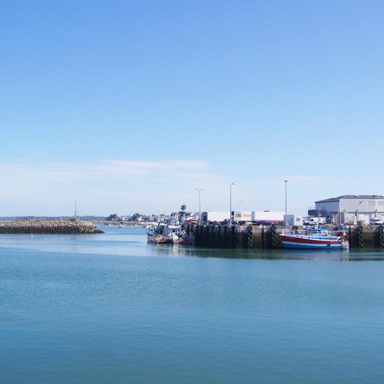 Port commercial