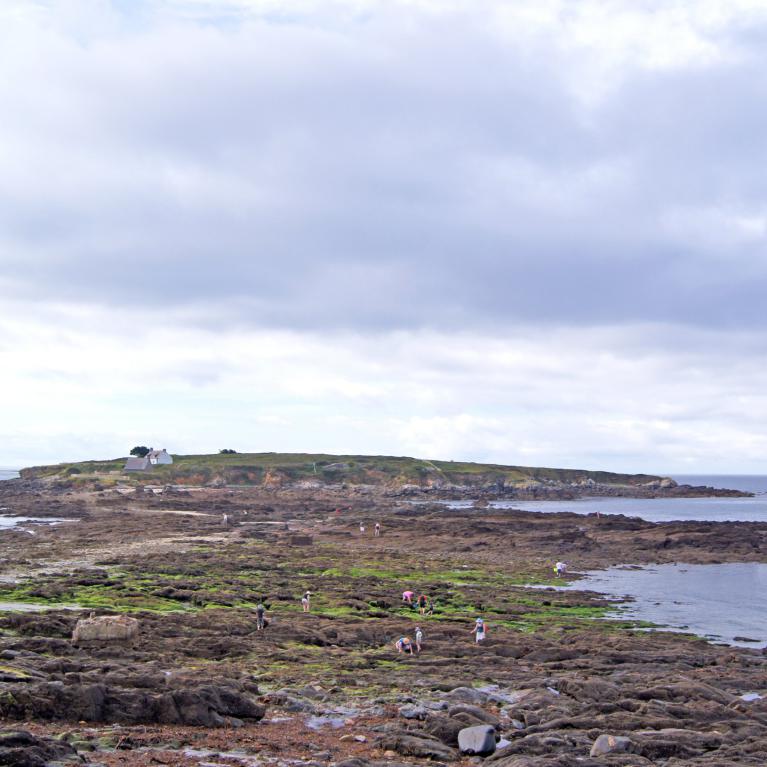 Île Raguénez
