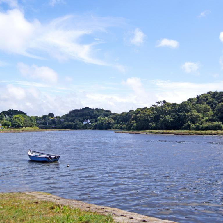 Le Goyen