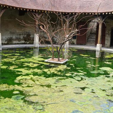 Le Grand Lavoir