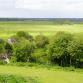 Vue sur les marais