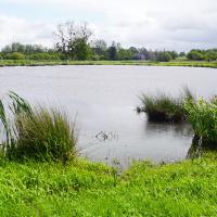 Site la mare