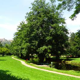 Parc Jolibois