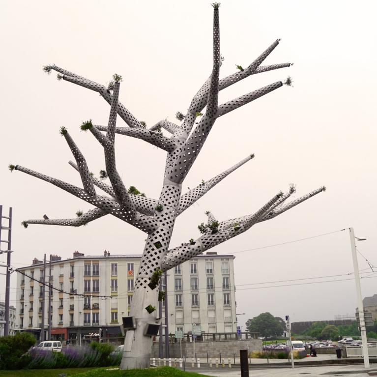 L'Arbre empathique