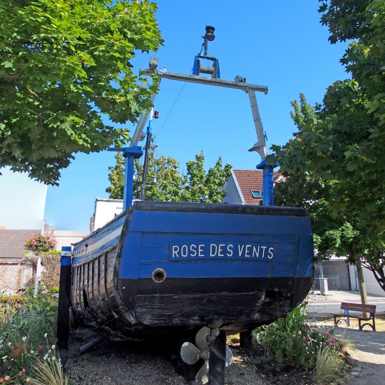 Rose des Vents