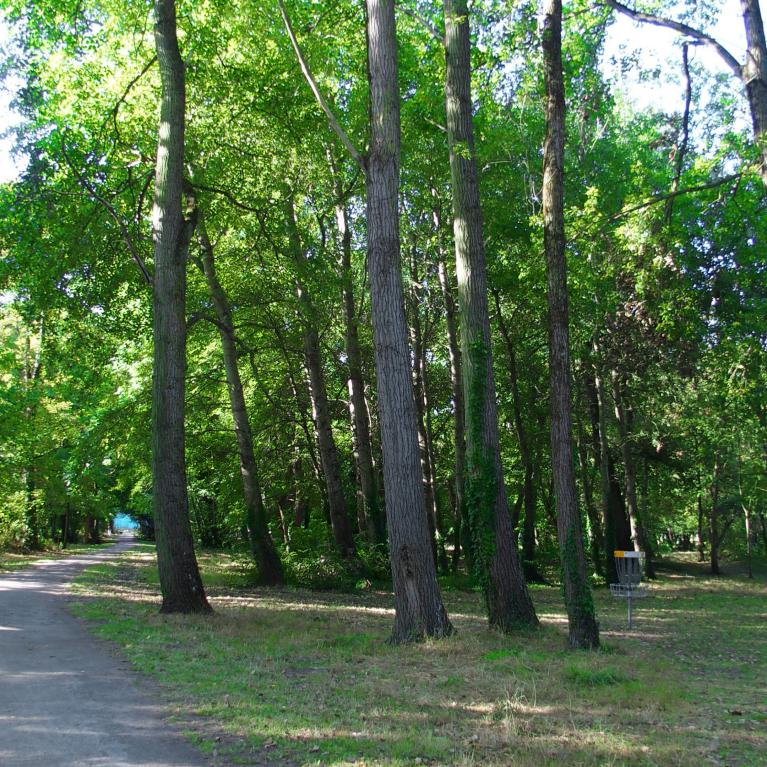 Bois Magnier