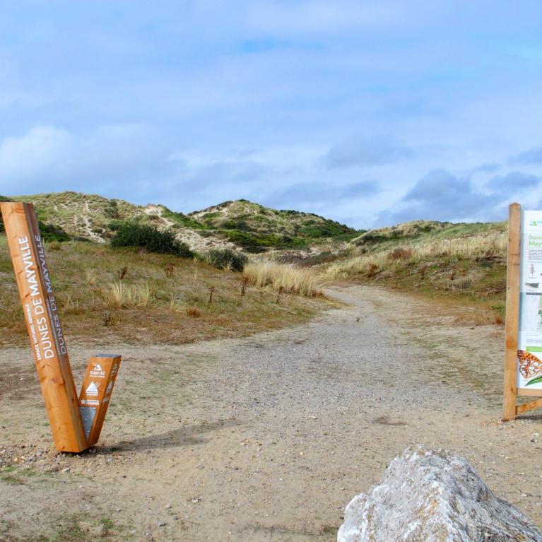 Dunes de Mayville