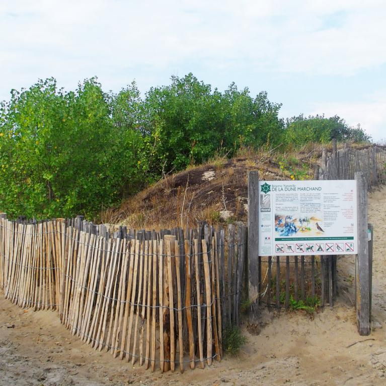 Dune Marchand