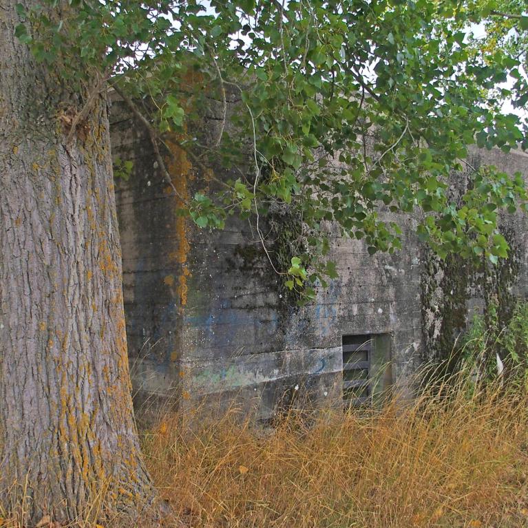 Blockhaus