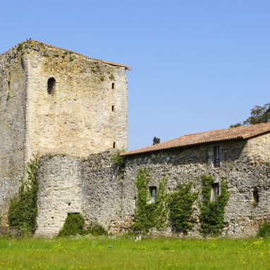 Château des Essarts