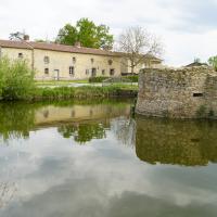 Cité des Oiseaux
