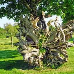 Statues de bois