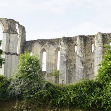 Ruines Abbaye de Maillezais