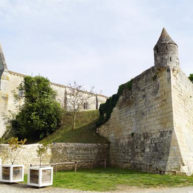 Ruines Abbaye de Maillezais