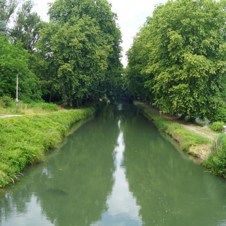 Canal