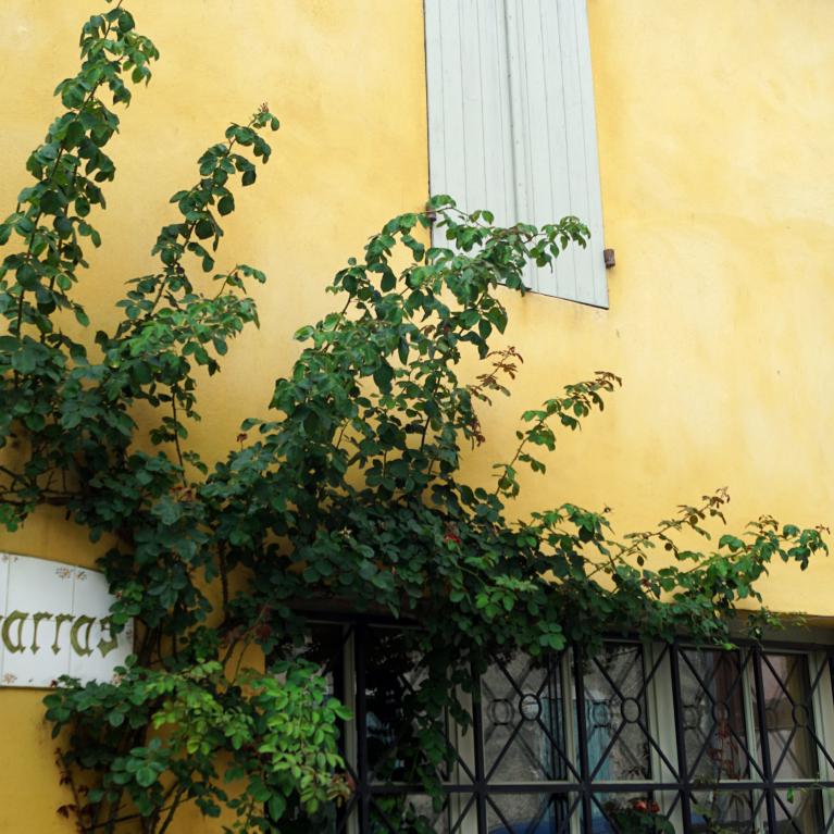 Le Bougarras