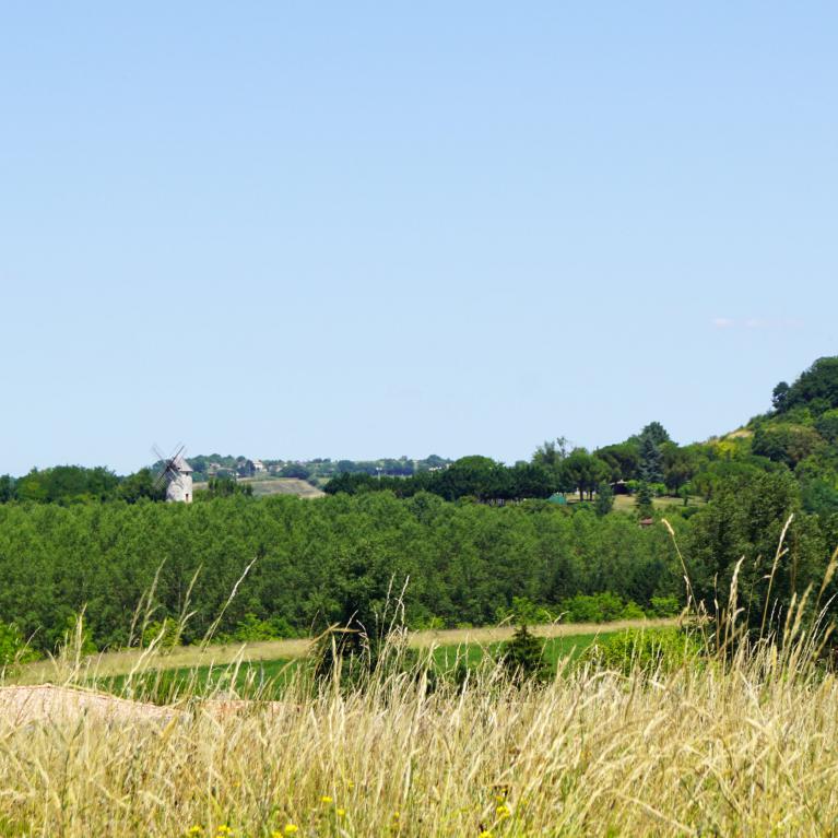 Moulin de Laprade