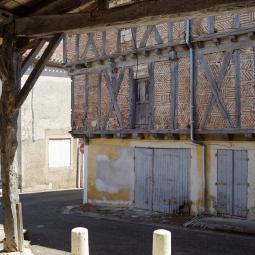 Halle