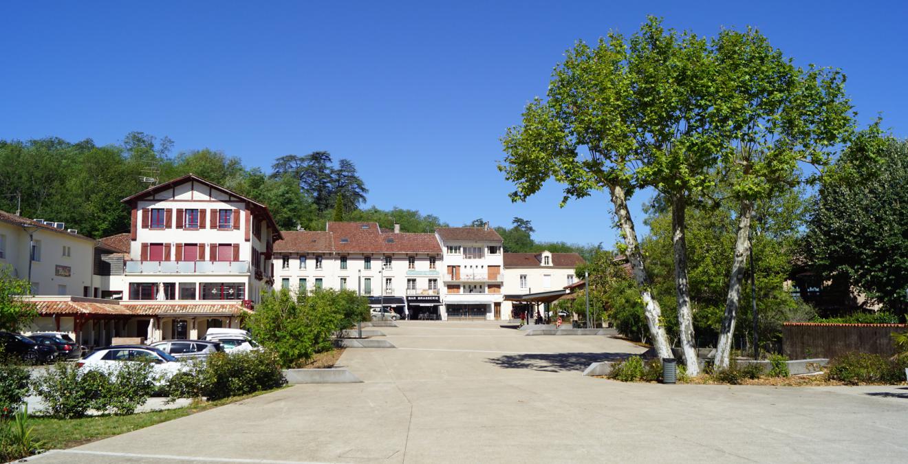 Vue