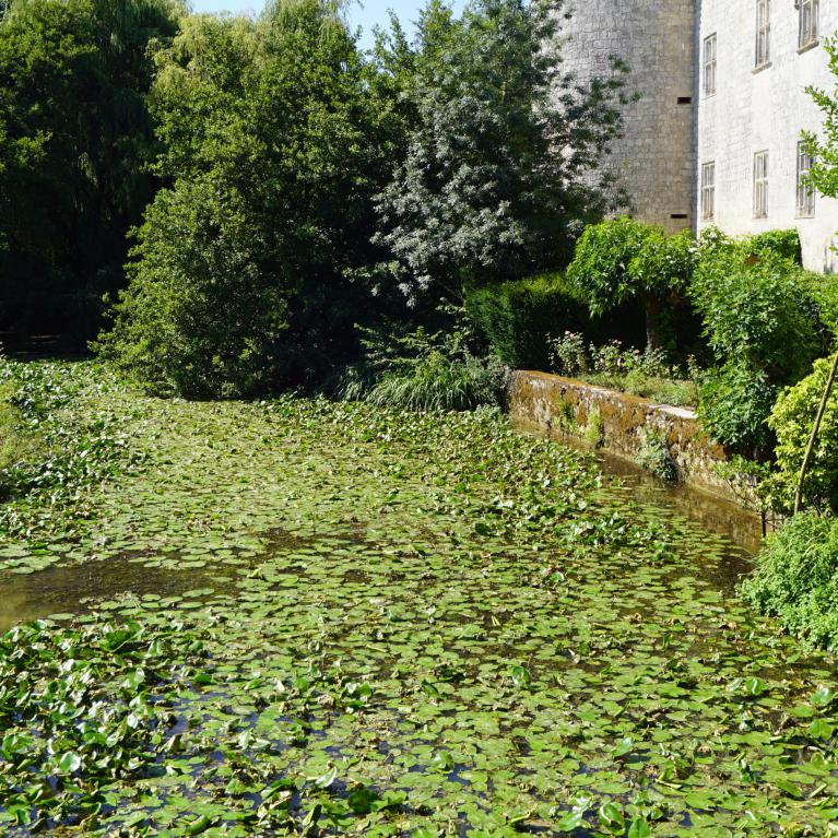 Ruisseau de Lauzoue